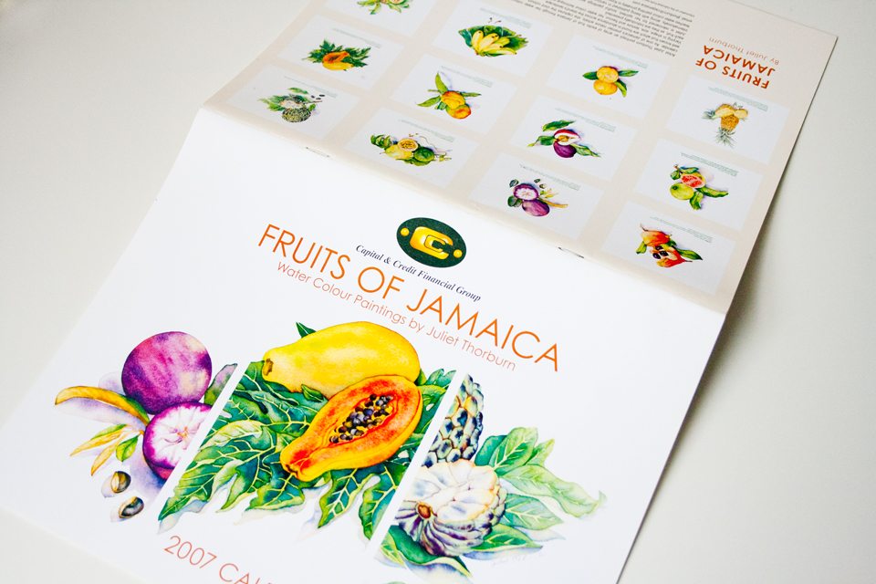 Fruits of Jamaica Calendar by Juliet Thorburn